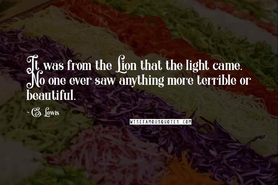 C.S. Lewis Quotes: It was from the Lion that the light came. No one ever saw anything more terrible or beautiful.