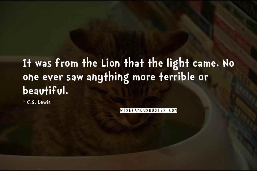 C.S. Lewis Quotes: It was from the Lion that the light came. No one ever saw anything more terrible or beautiful.