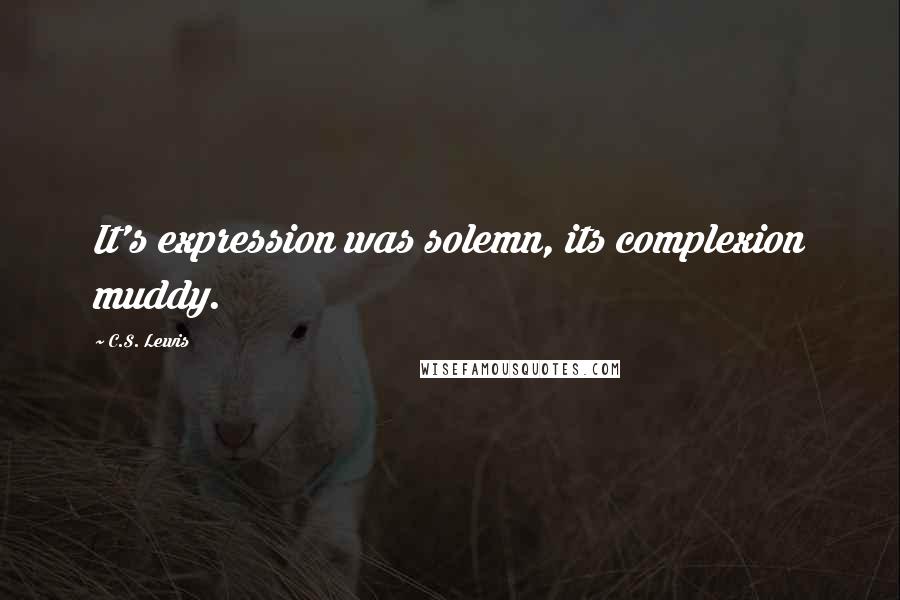 C.S. Lewis Quotes: It's expression was solemn, its complexion muddy.