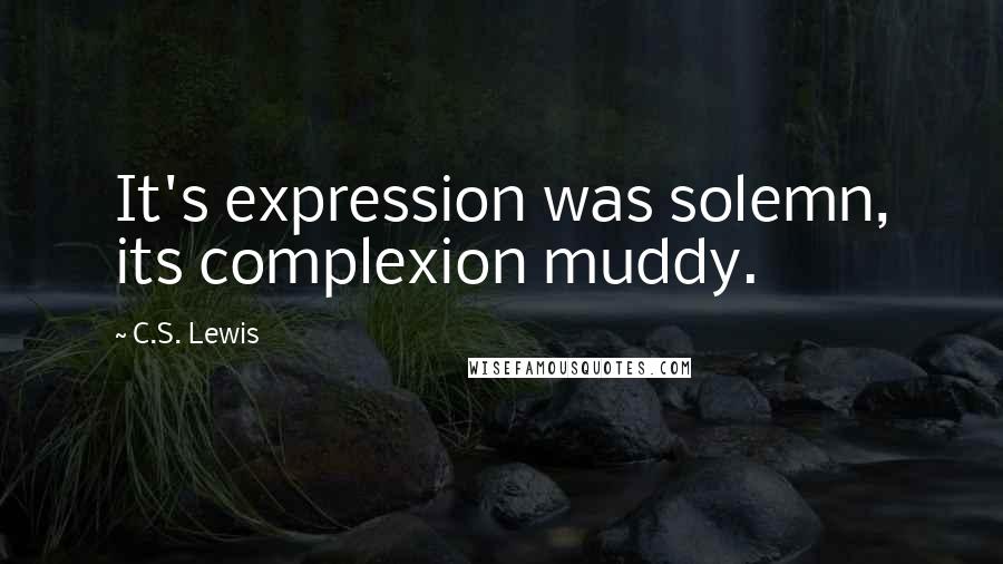 C.S. Lewis Quotes: It's expression was solemn, its complexion muddy.