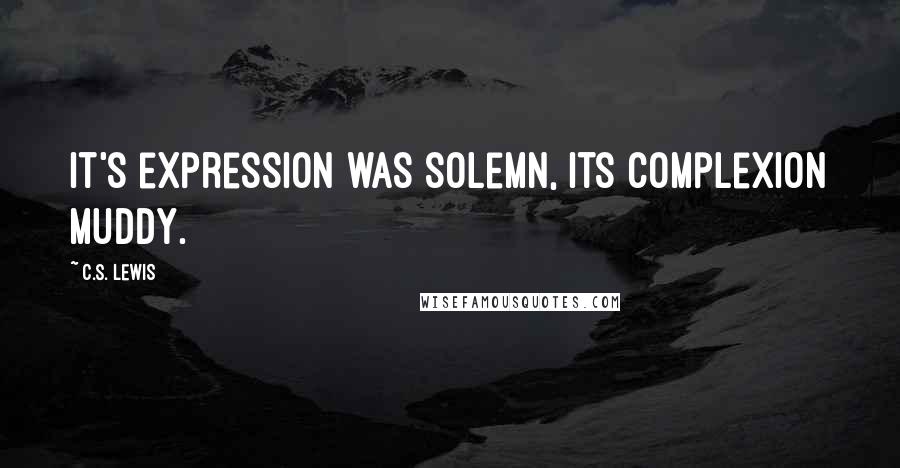 C.S. Lewis Quotes: It's expression was solemn, its complexion muddy.