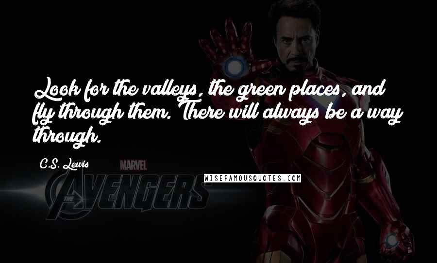 C.S. Lewis Quotes: Look for the valleys, the green places, and fly through them. There will always be a way through.