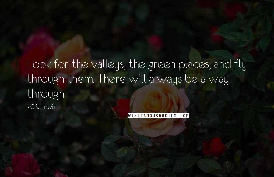 C.S. Lewis Quotes: Look for the valleys, the green places, and fly through them. There will always be a way through.
