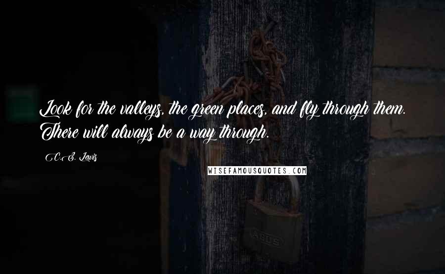 C.S. Lewis Quotes: Look for the valleys, the green places, and fly through them. There will always be a way through.