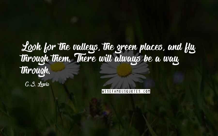C.S. Lewis Quotes: Look for the valleys, the green places, and fly through them. There will always be a way through.