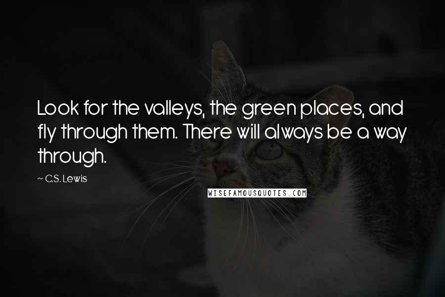 C.S. Lewis Quotes: Look for the valleys, the green places, and fly through them. There will always be a way through.