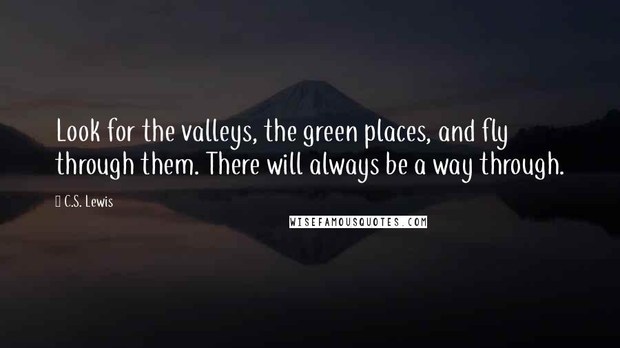 C.S. Lewis Quotes: Look for the valleys, the green places, and fly through them. There will always be a way through.