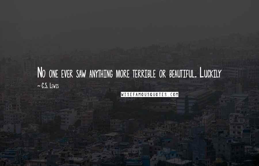 C.S. Lewis Quotes: No one ever saw anything more terrible or beautiful. Luckily