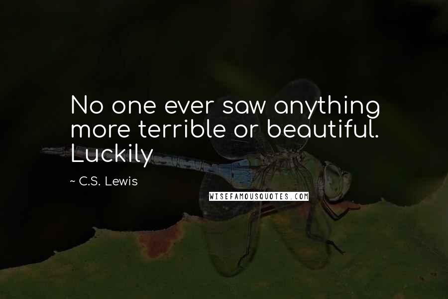 C.S. Lewis Quotes: No one ever saw anything more terrible or beautiful. Luckily