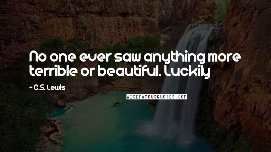 C.S. Lewis Quotes: No one ever saw anything more terrible or beautiful. Luckily