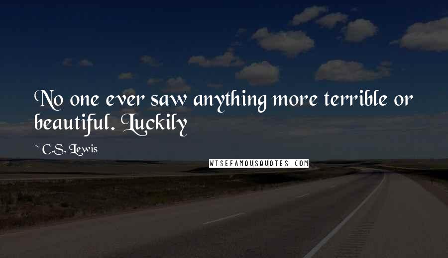 C.S. Lewis Quotes: No one ever saw anything more terrible or beautiful. Luckily