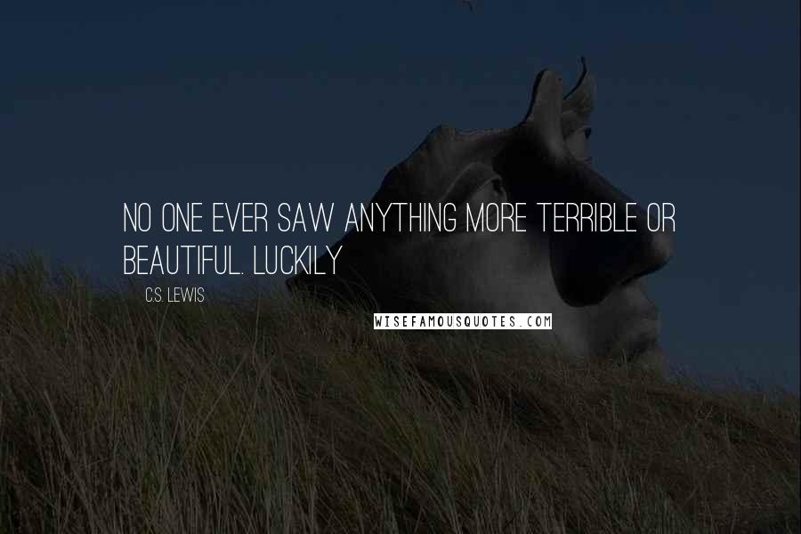 C.S. Lewis Quotes: No one ever saw anything more terrible or beautiful. Luckily