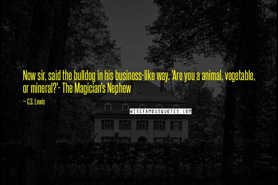 C.S. Lewis Quotes: Now sir, said the bulldog in his business-like way. 'Are you a animal, vegetable, or mineral?'- The Magician's Nephew