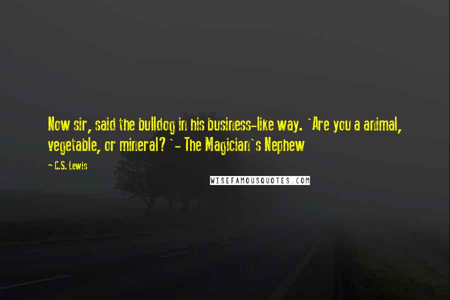 C.S. Lewis Quotes: Now sir, said the bulldog in his business-like way. 'Are you a animal, vegetable, or mineral?'- The Magician's Nephew