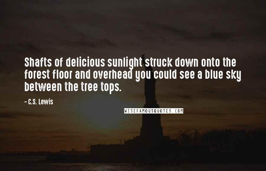 C.S. Lewis Quotes: Shafts of delicious sunlight struck down onto the forest floor and overhead you could see a blue sky between the tree tops.