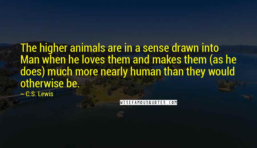 C.S. Lewis Quotes: The higher animals are in a sense drawn into Man when he loves them and makes them (as he does) much more nearly human than they would otherwise be.