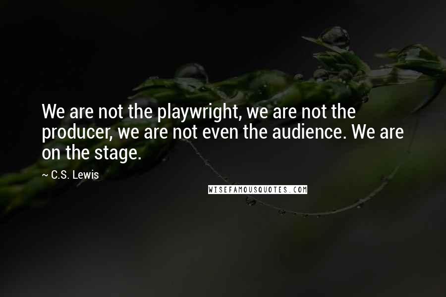 C.S. Lewis Quotes: We are not the playwright, we are not the producer, we are not even the audience. We are on the stage.