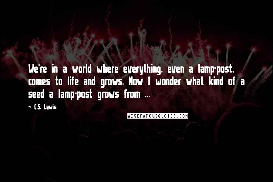 C.S. Lewis Quotes: We're in a world where everything, even a lamp-post, comes to life and grows. Now I wonder what kind of a seed a lamp-post grows from ...