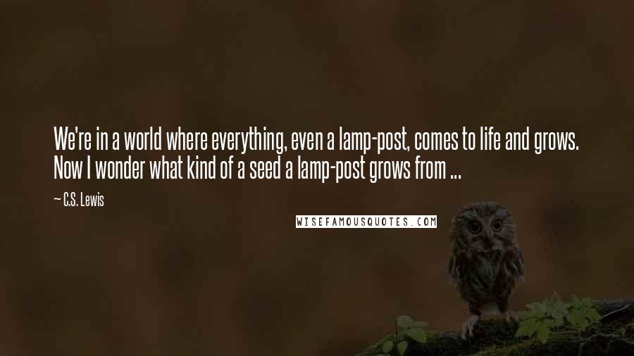 C.S. Lewis Quotes: We're in a world where everything, even a lamp-post, comes to life and grows. Now I wonder what kind of a seed a lamp-post grows from ...