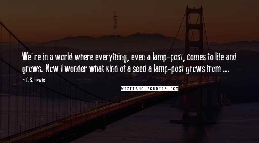 C.S. Lewis Quotes: We're in a world where everything, even a lamp-post, comes to life and grows. Now I wonder what kind of a seed a lamp-post grows from ...