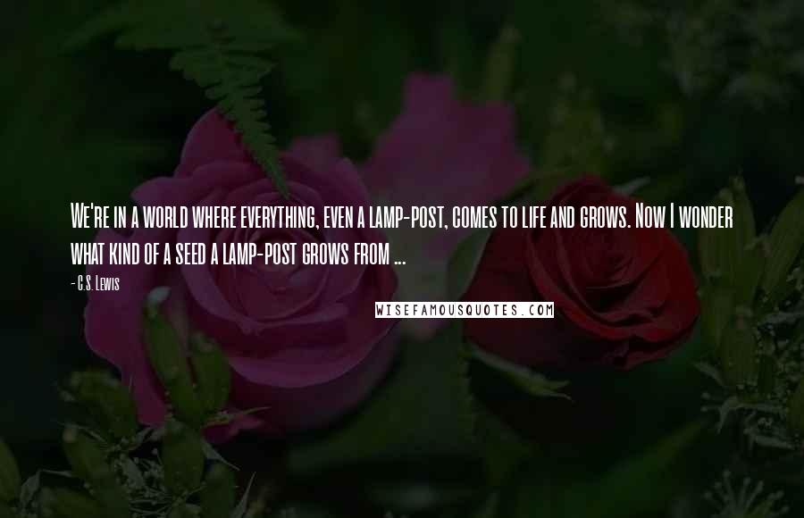 C.S. Lewis Quotes: We're in a world where everything, even a lamp-post, comes to life and grows. Now I wonder what kind of a seed a lamp-post grows from ...