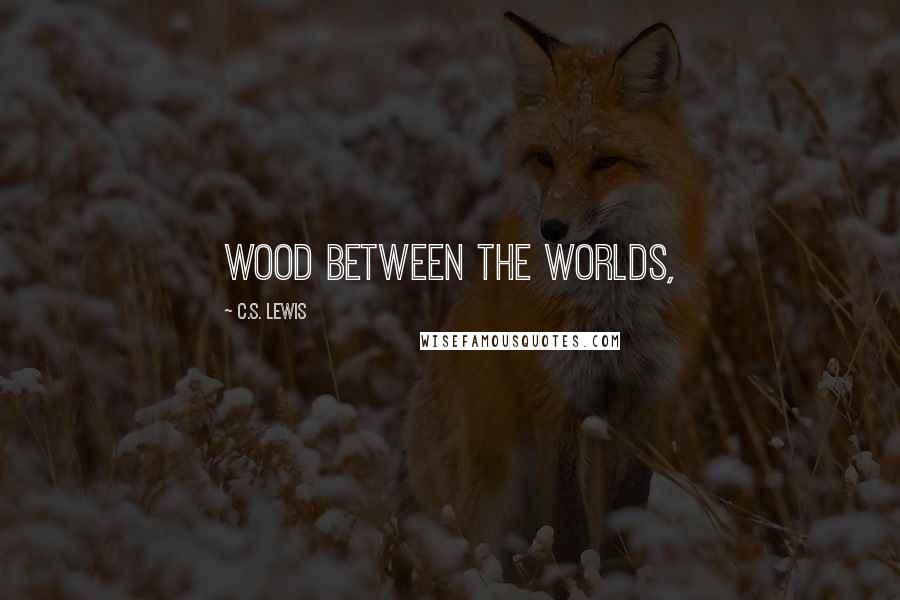 C.S. Lewis Quotes: Wood between the Worlds,