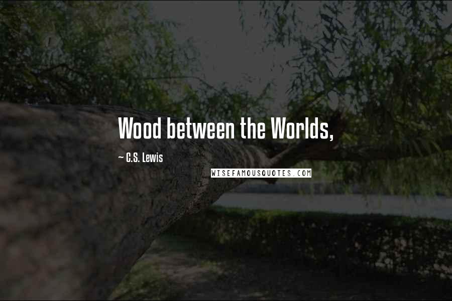 C.S. Lewis Quotes: Wood between the Worlds,