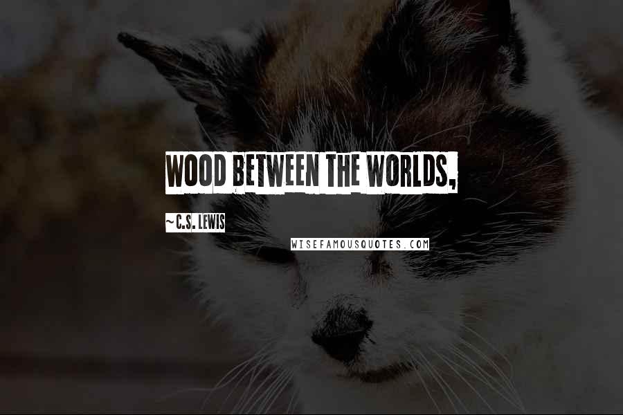 C.S. Lewis Quotes: Wood between the Worlds,