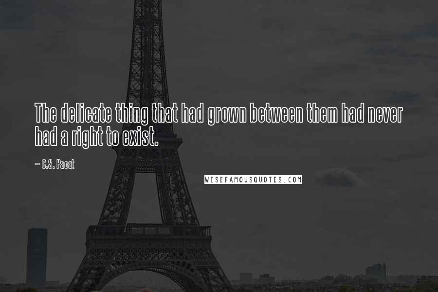 C.S. Pacat Quotes: The delicate thing that had grown between them had never had a right to exist.