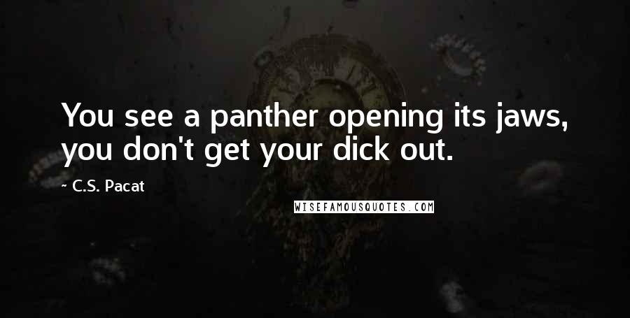 C.S. Pacat Quotes: You see a panther opening its jaws, you don't get your dick out.