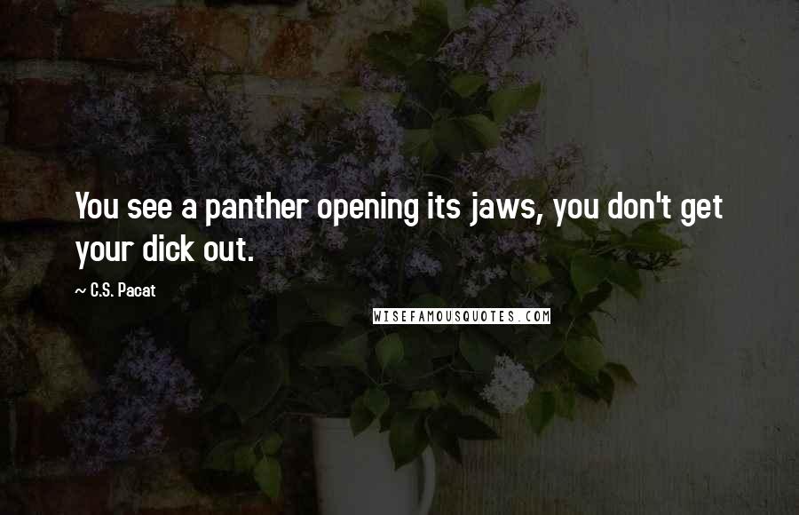 C.S. Pacat Quotes: You see a panther opening its jaws, you don't get your dick out.