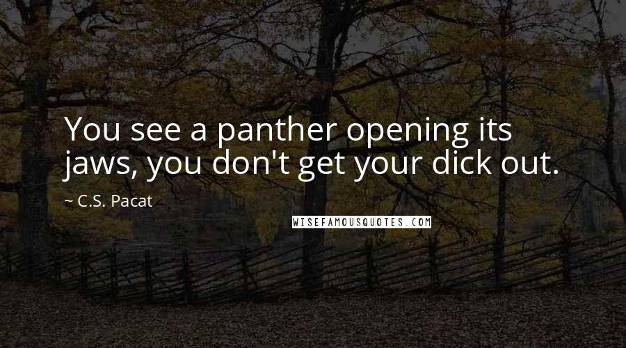 C.S. Pacat Quotes: You see a panther opening its jaws, you don't get your dick out.