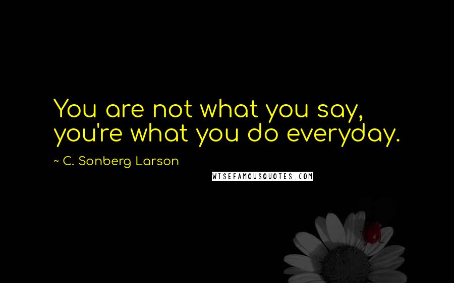 C. Sonberg Larson Quotes: You are not what you say, you're what you do everyday.