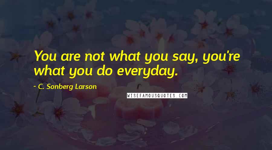 C. Sonberg Larson Quotes: You are not what you say, you're what you do everyday.