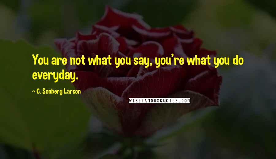 C. Sonberg Larson Quotes: You are not what you say, you're what you do everyday.