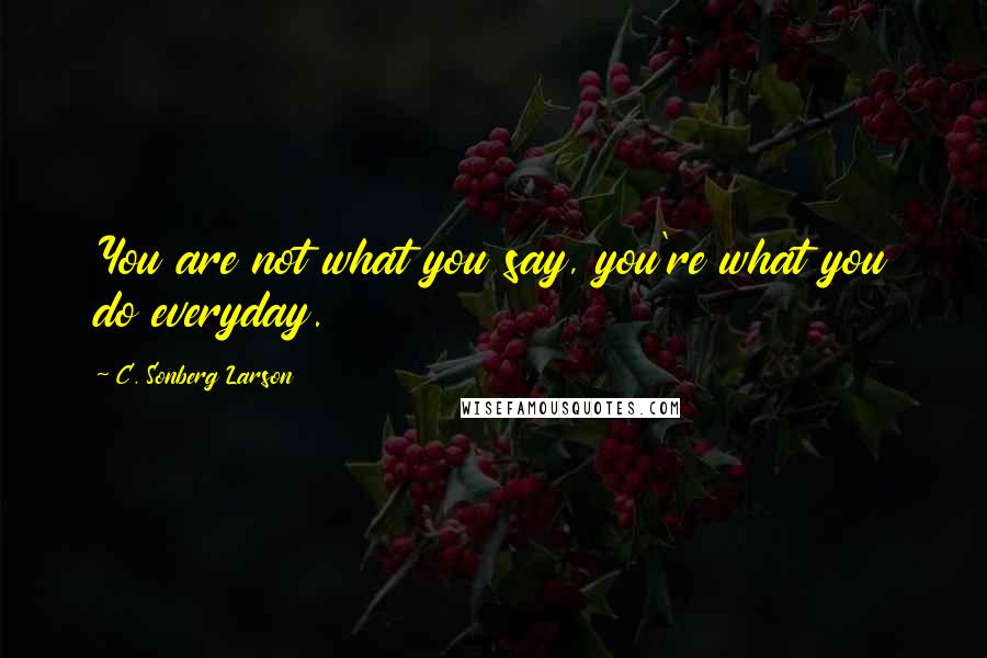 C. Sonberg Larson Quotes: You are not what you say, you're what you do everyday.