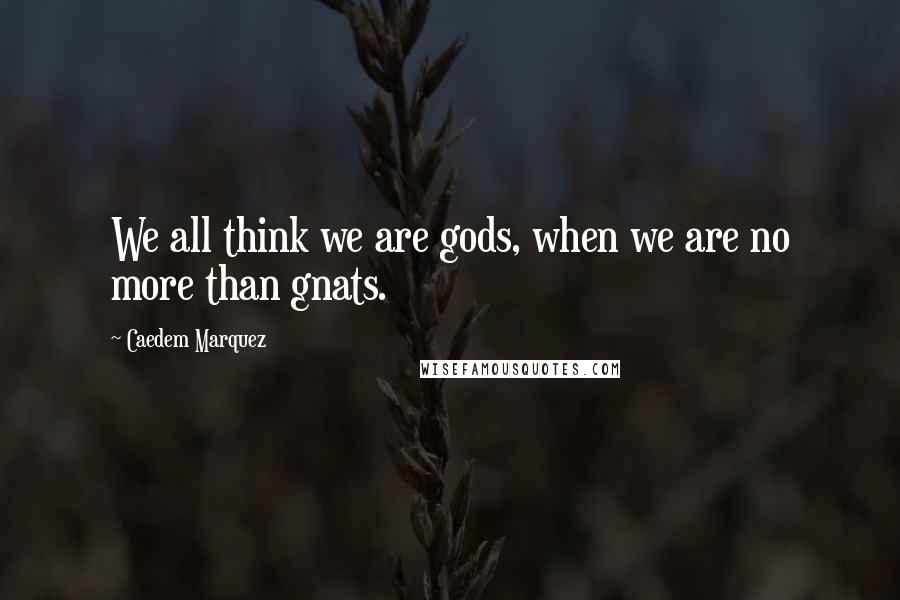 Caedem Marquez Quotes: We all think we are gods, when we are no more than gnats.