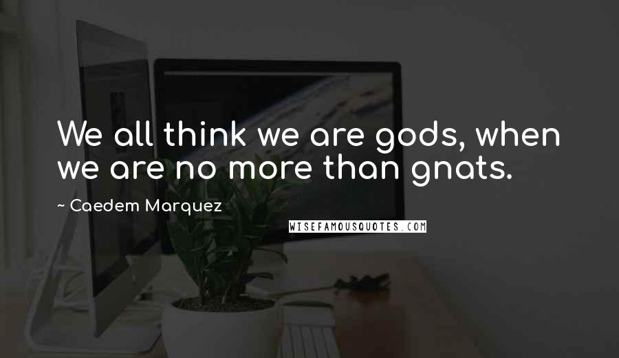 Caedem Marquez Quotes: We all think we are gods, when we are no more than gnats.
