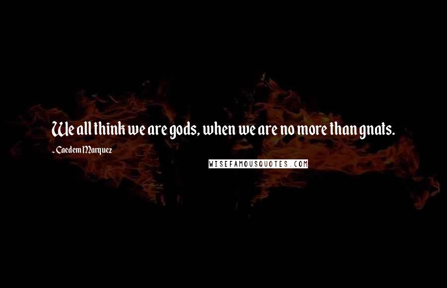 Caedem Marquez Quotes: We all think we are gods, when we are no more than gnats.