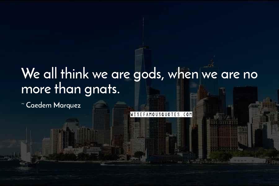 Caedem Marquez Quotes: We all think we are gods, when we are no more than gnats.