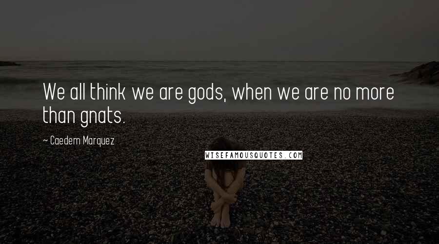 Caedem Marquez Quotes: We all think we are gods, when we are no more than gnats.