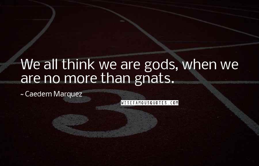 Caedem Marquez Quotes: We all think we are gods, when we are no more than gnats.