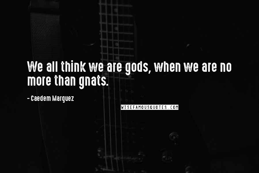 Caedem Marquez Quotes: We all think we are gods, when we are no more than gnats.