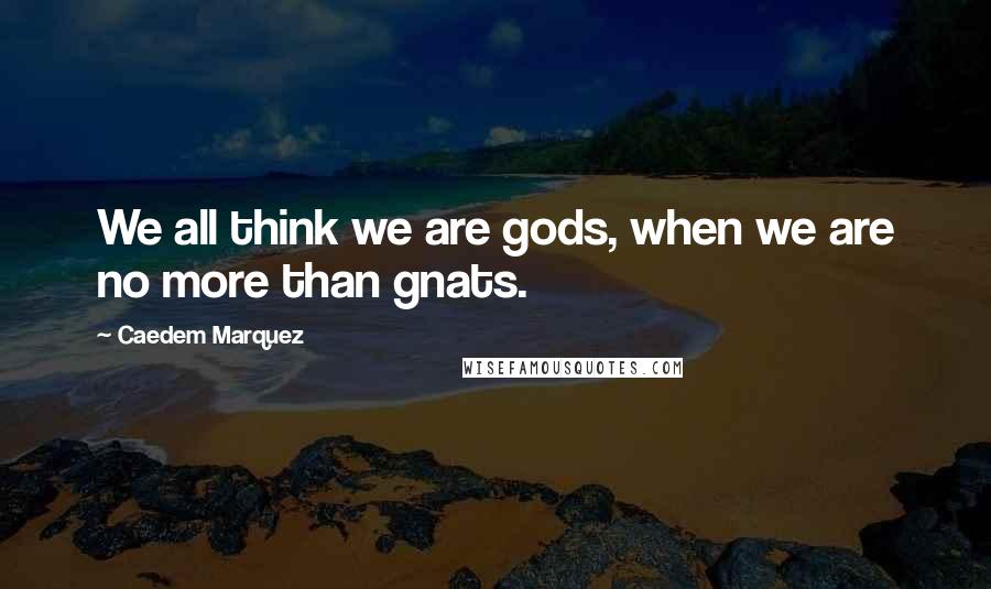 Caedem Marquez Quotes: We all think we are gods, when we are no more than gnats.