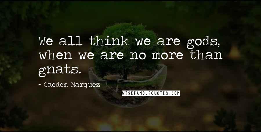 Caedem Marquez Quotes: We all think we are gods, when we are no more than gnats.