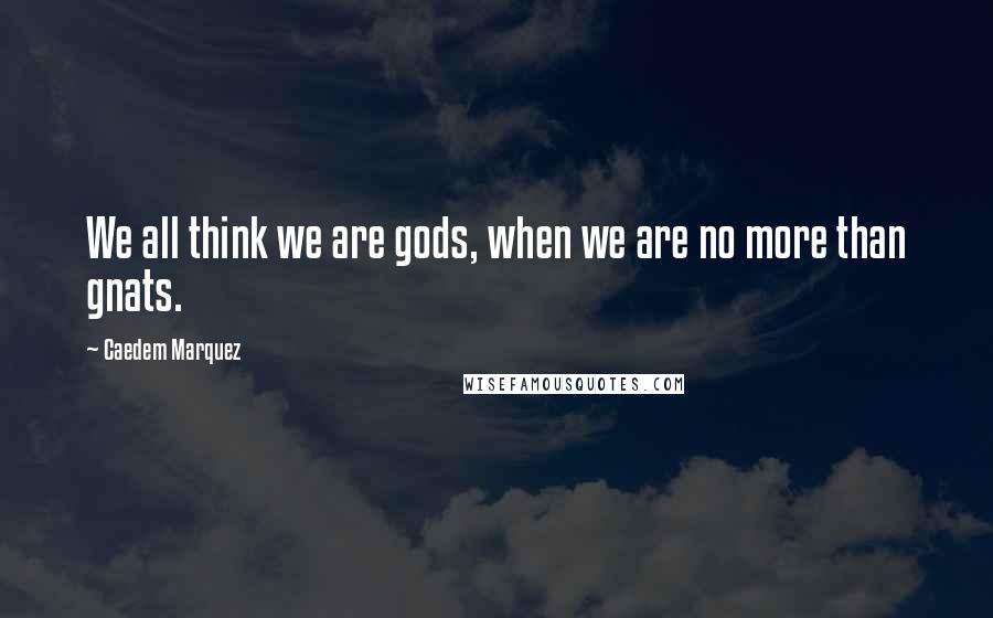 Caedem Marquez Quotes: We all think we are gods, when we are no more than gnats.