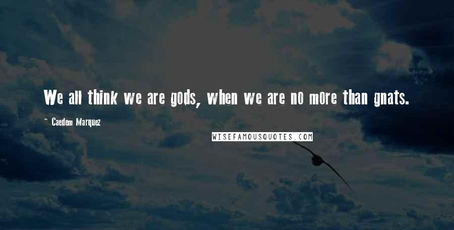 Caedem Marquez Quotes: We all think we are gods, when we are no more than gnats.