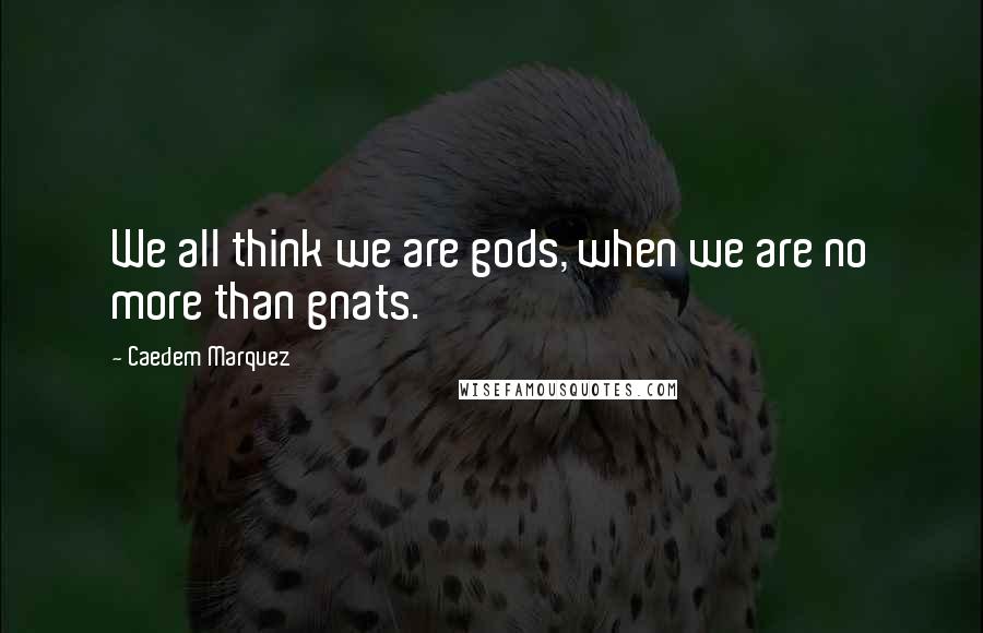Caedem Marquez Quotes: We all think we are gods, when we are no more than gnats.