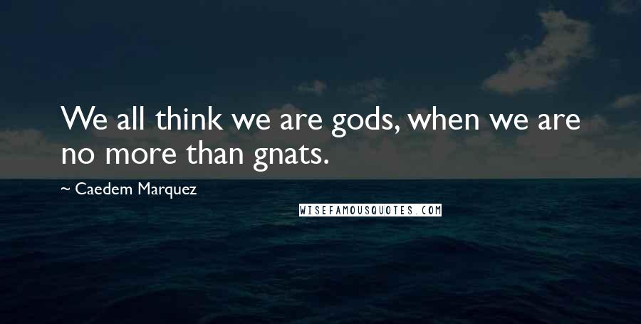 Caedem Marquez Quotes: We all think we are gods, when we are no more than gnats.