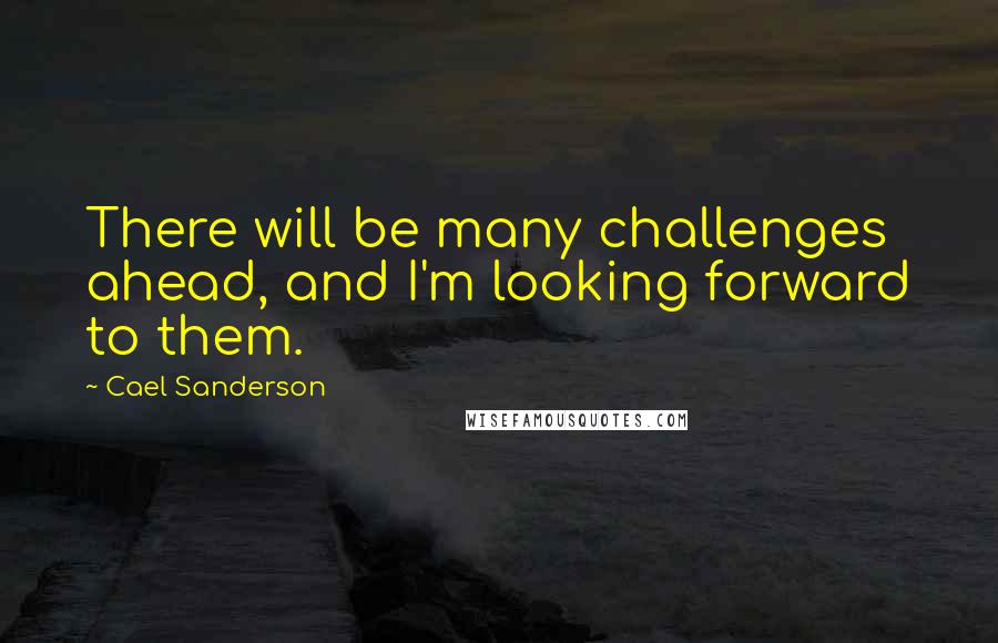 Cael Sanderson Quotes: There will be many challenges ahead, and I'm looking forward to them.